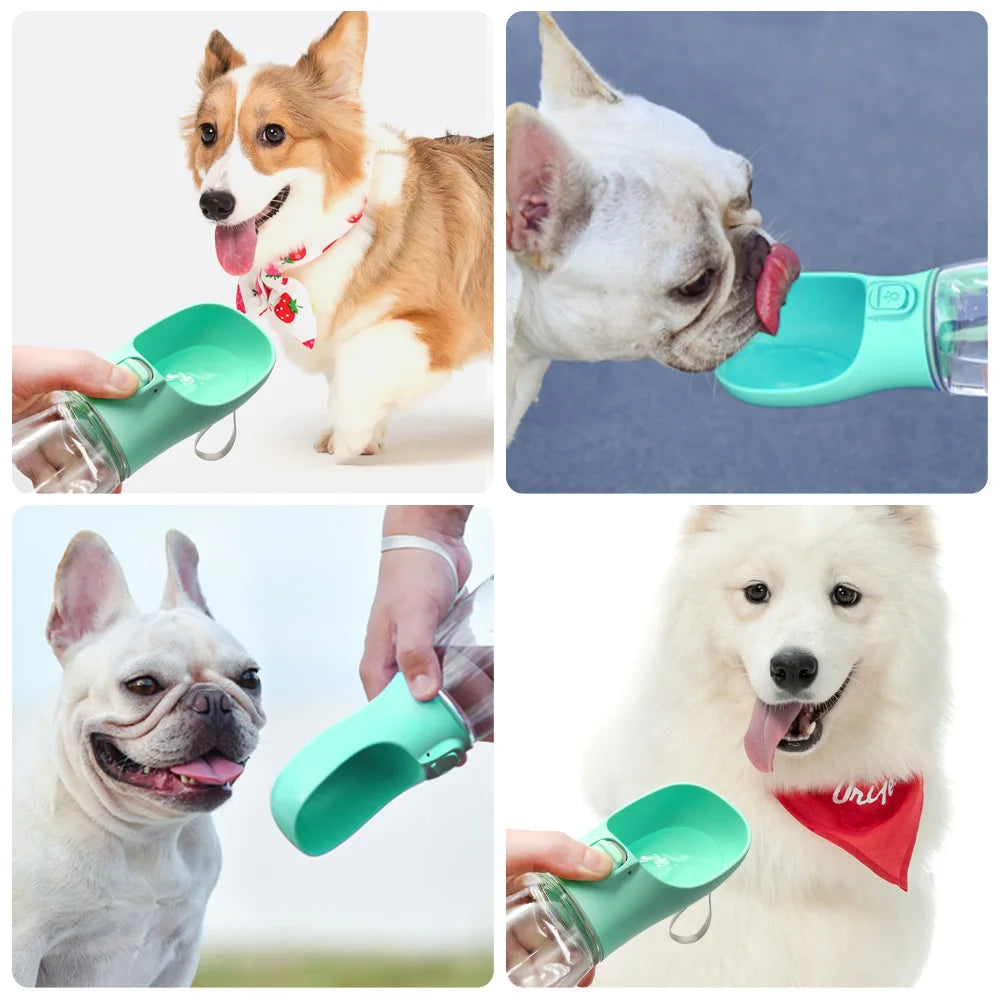 Portable Pet Adventure Water Bottle