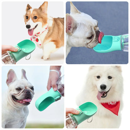 Portable Pet Adventure Water Bottle